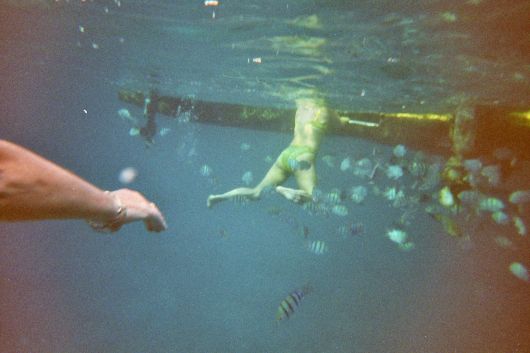 ik en Amber tussen honderden vissen