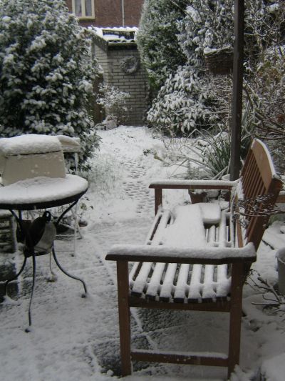 nog zo'n prachtige sneeuwfoto in de tuin