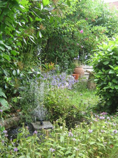 mijn tuin in juni