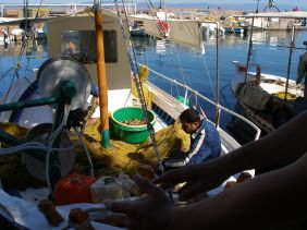 Lesbos met z'n vele vissershaventjes