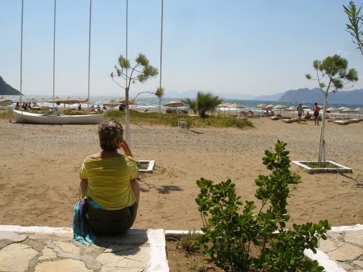 turttlebeach